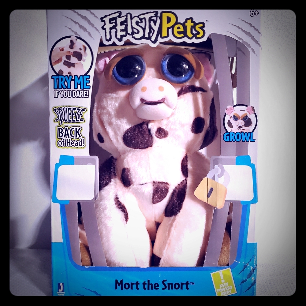 Feisty pets mort the pig